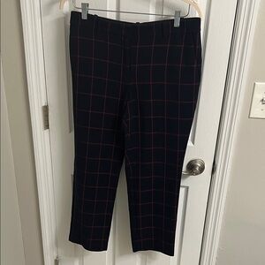 Ann Taylor Size 10 Slacks Curvy Fit! Navy and Red!
